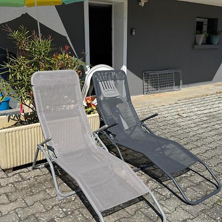 Appartement Detox Au Pied Du Semnoz Seynod Eksteriør billede