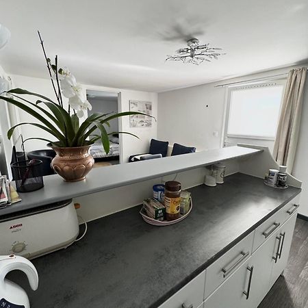 Appartement Detox Au Pied Du Semnoz Seynod Eksteriør billede