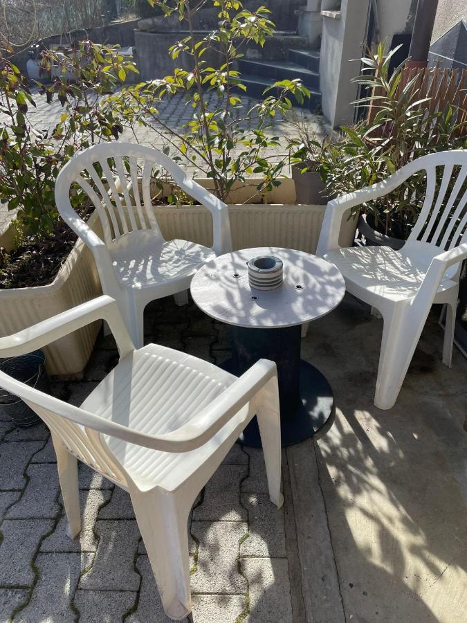 Appartement Detox Au Pied Du Semnoz Seynod Eksteriør billede
