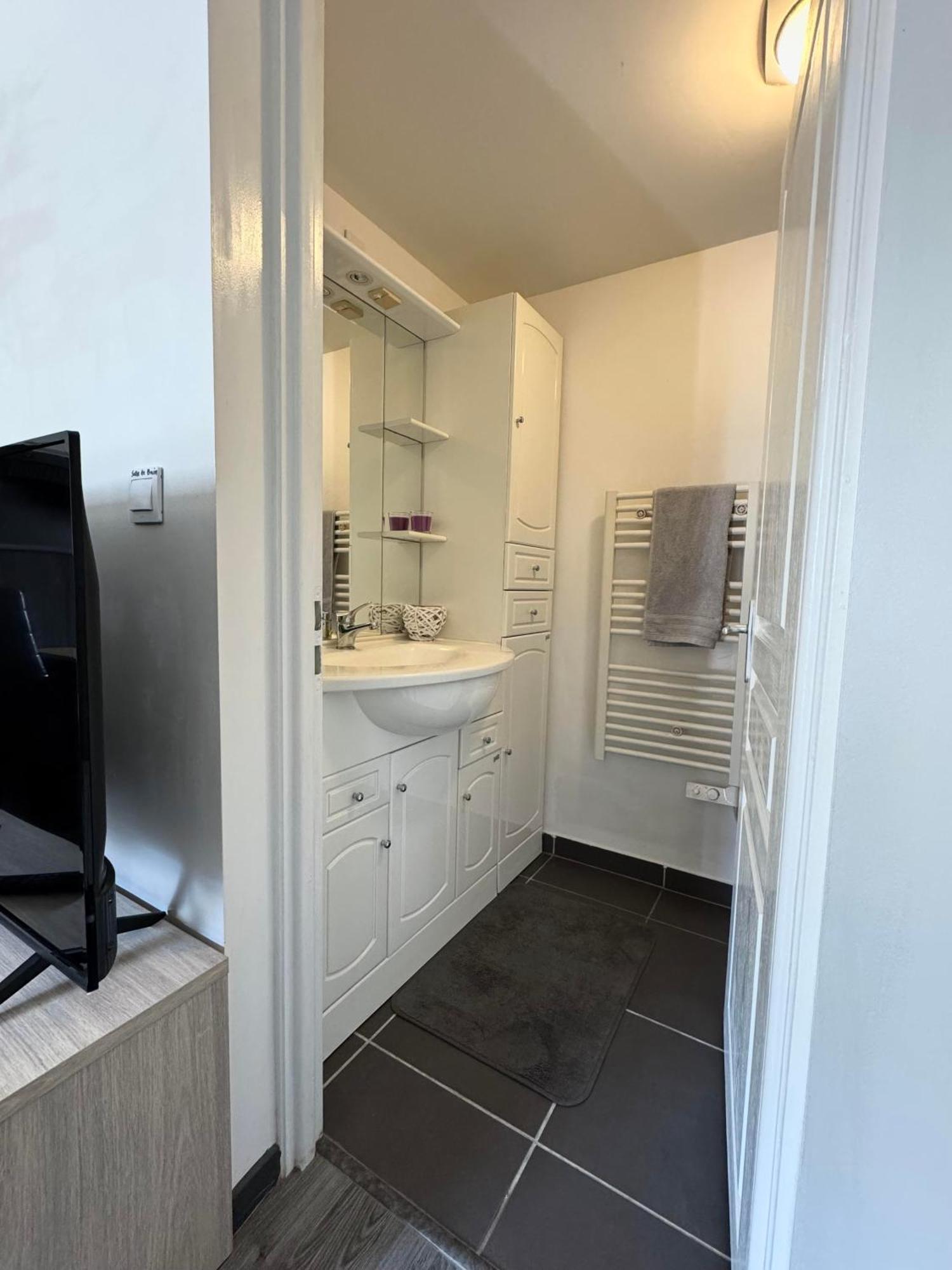 Appartement Detox Au Pied Du Semnoz Seynod Eksteriør billede