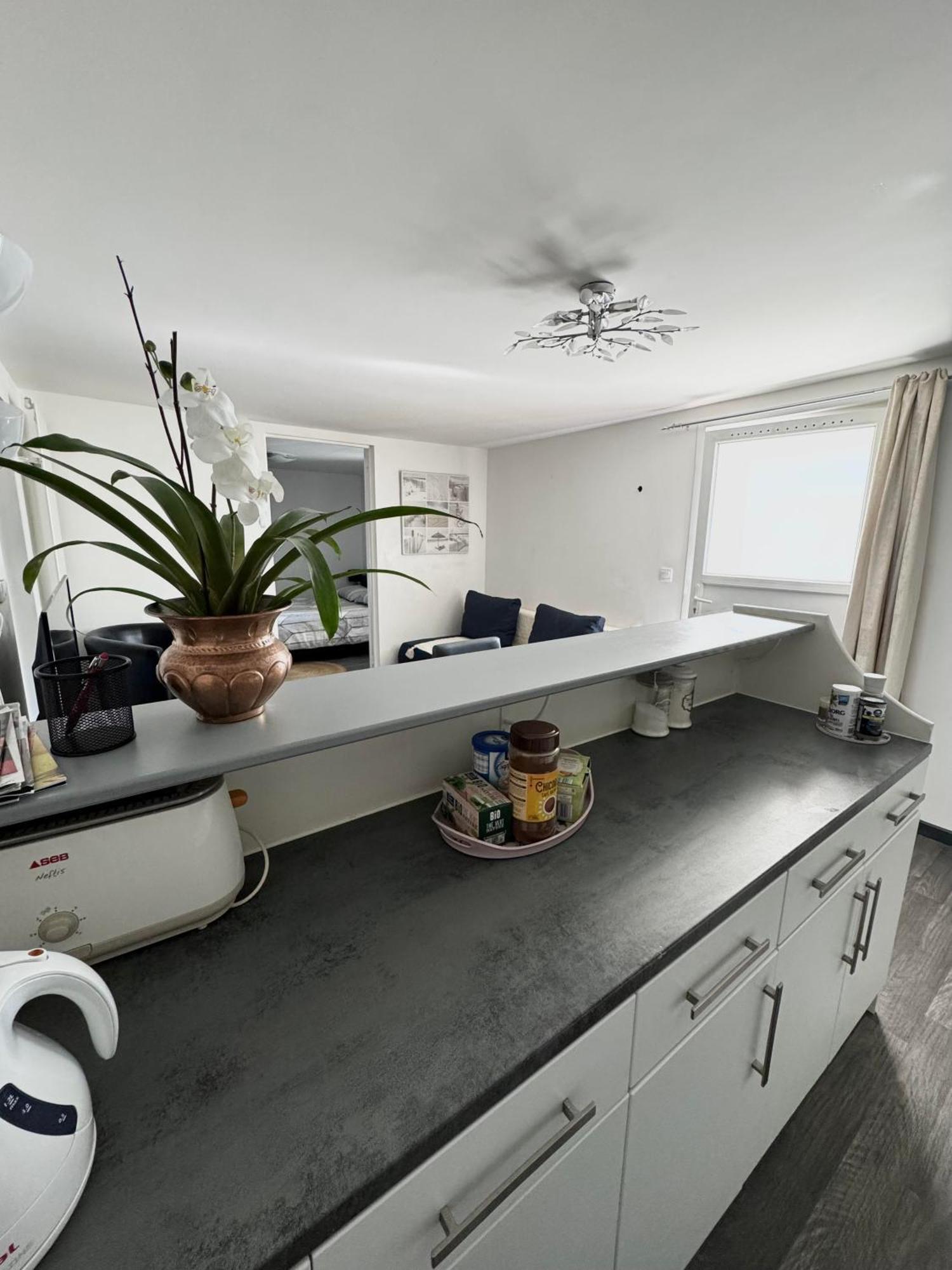 Appartement Detox Au Pied Du Semnoz Seynod Eksteriør billede